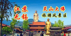 嫩穴电影网站江苏无锡灵山大佛旅游风景区